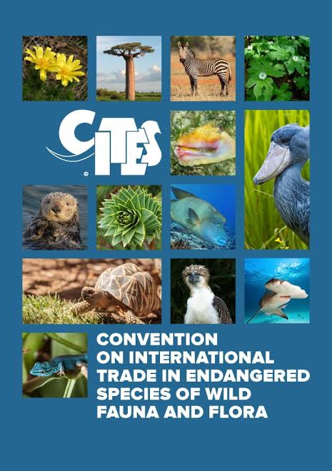 Cites Guide | Prime Lane Shipping Cites