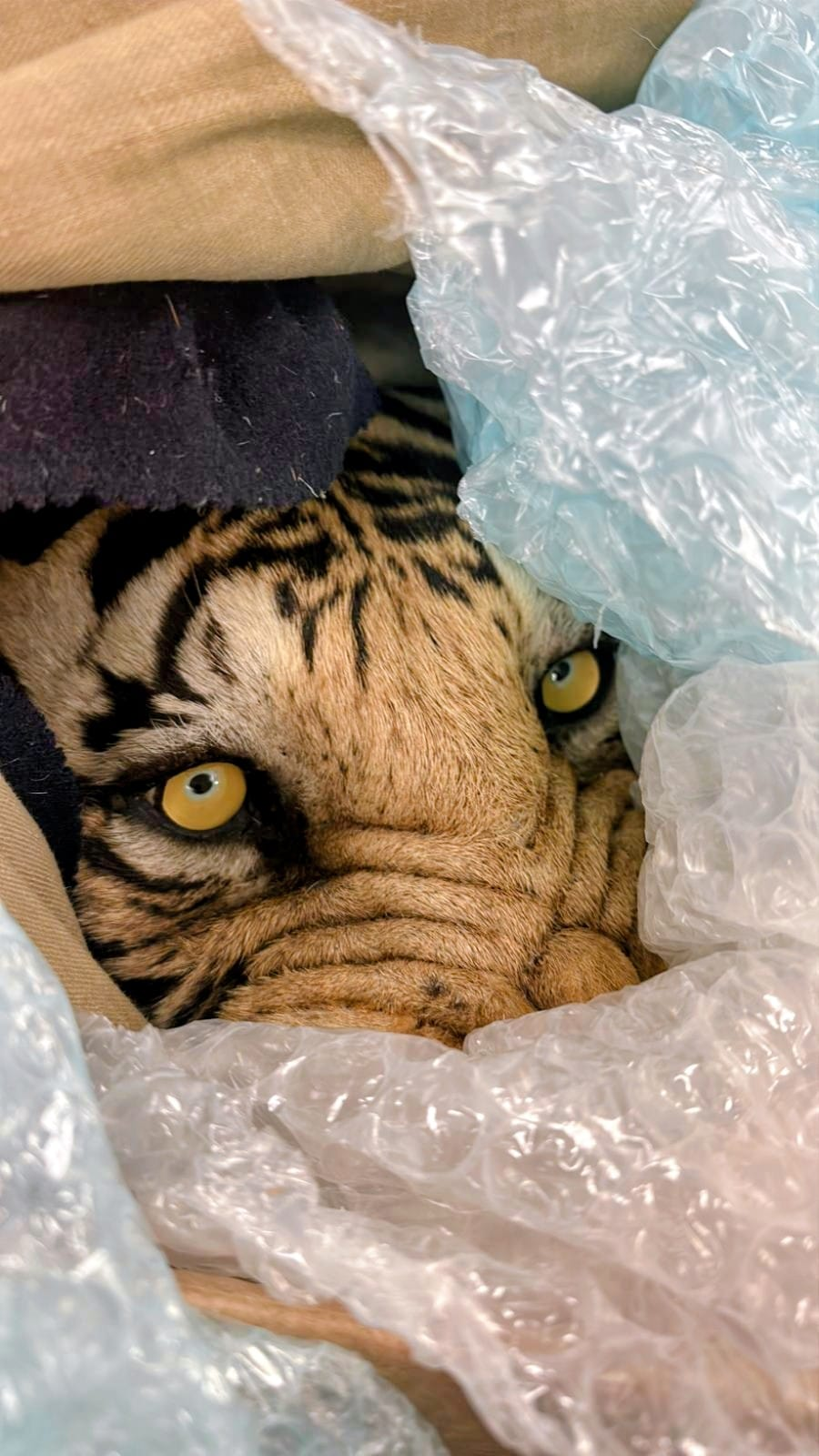 Packing and Delivery Service  in London and the United Kingdom